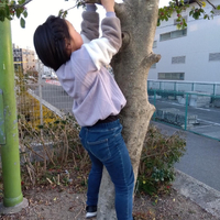 画像587