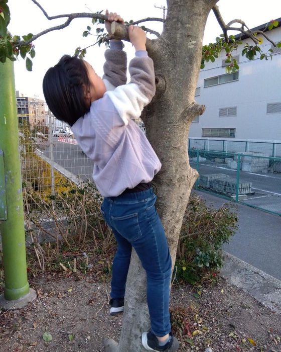 画像587