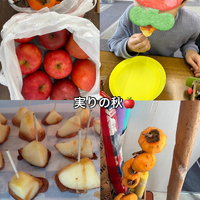画像839